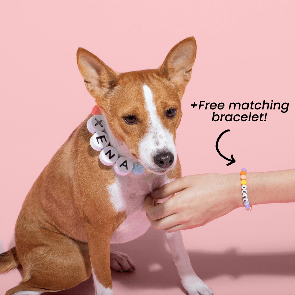 BFF Dog Collar + Free Matching Bracelet - ShopLorca